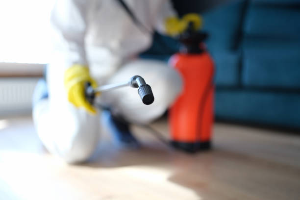 Best Biohazard Mold Removal  in Denton, TX